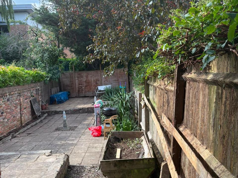 Sunny lawn and garden shed