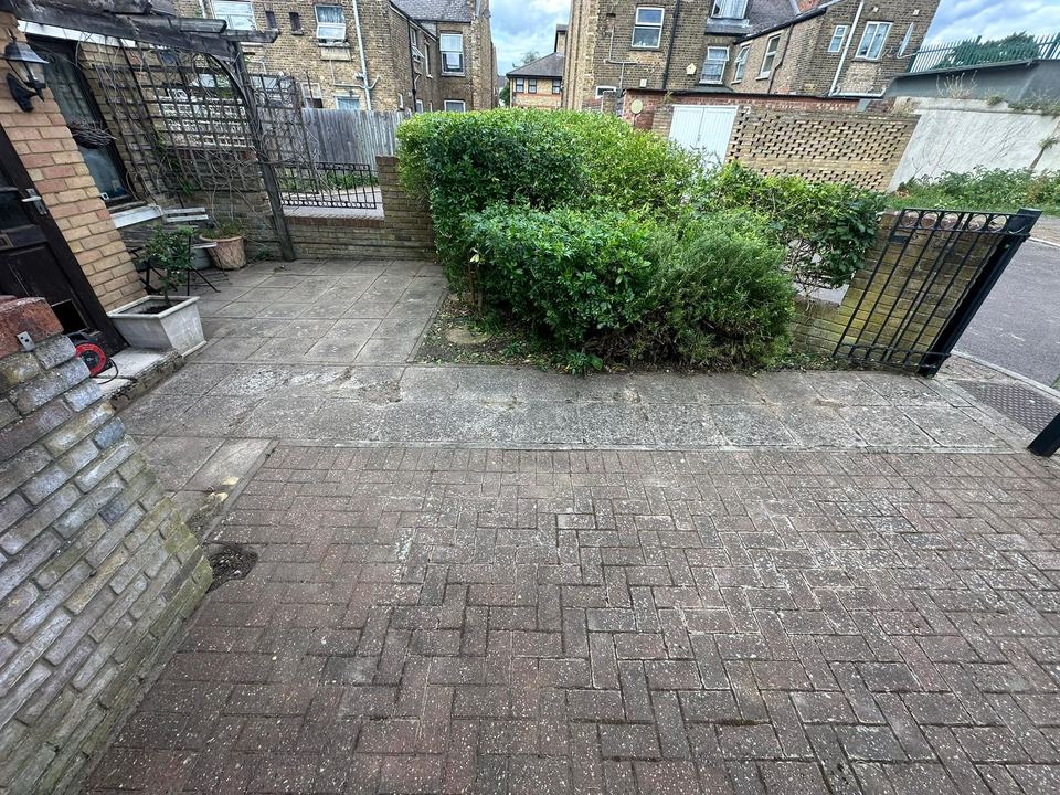Overgrown garden border
