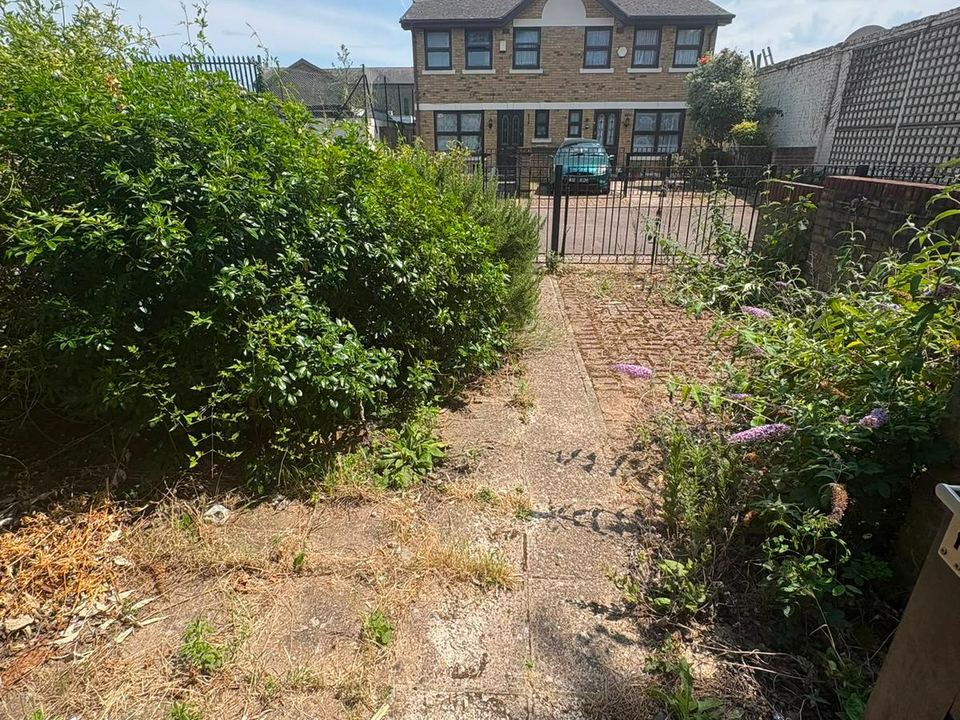 Bright courtyard with raised beds