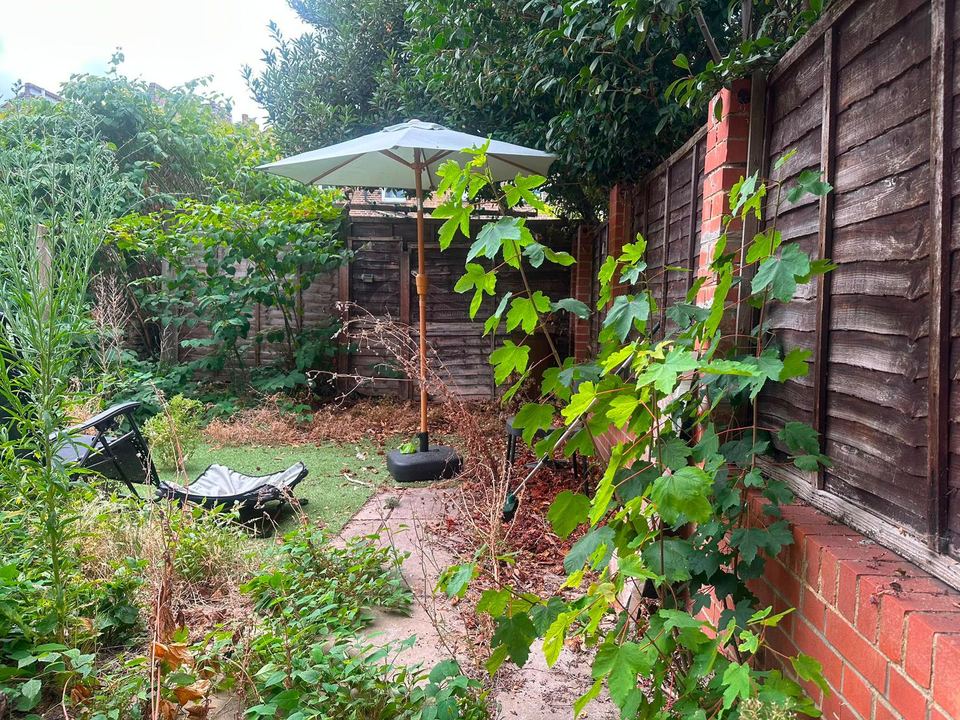 Garden border with mature hedge