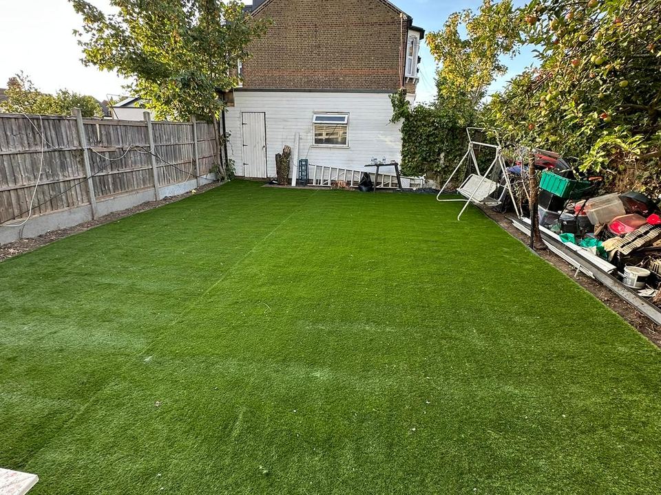 Dense green garden planting